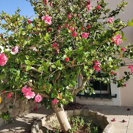 Belavista With Private Pool Holiday home Ferragudo (Faro)